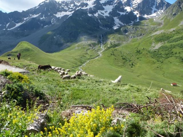 Appartement À La Montagne Villar-dʼArène Extérieur photo